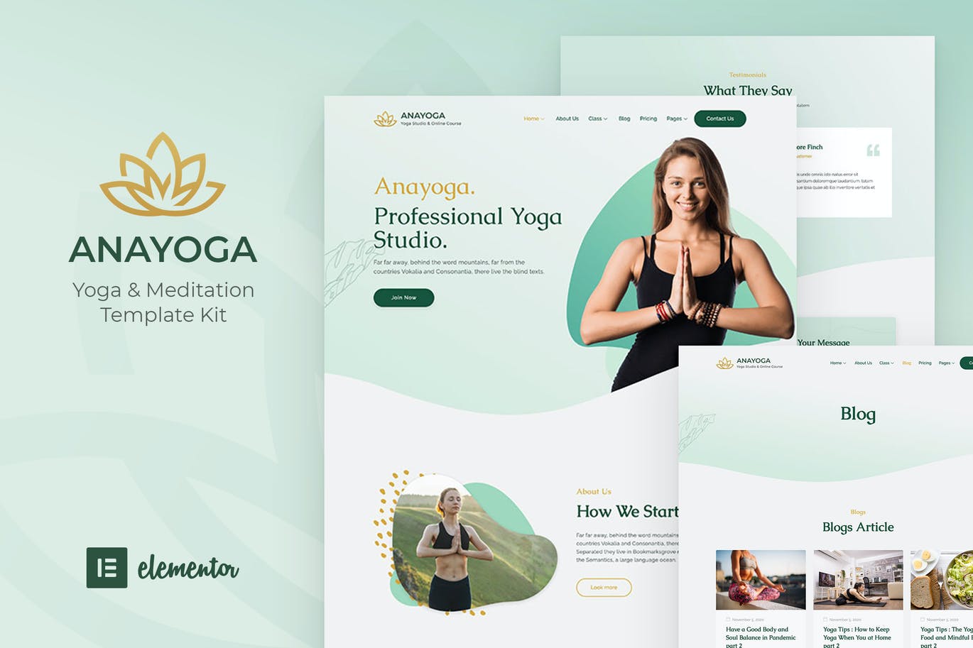Anayoga Yoga Teacher Studio