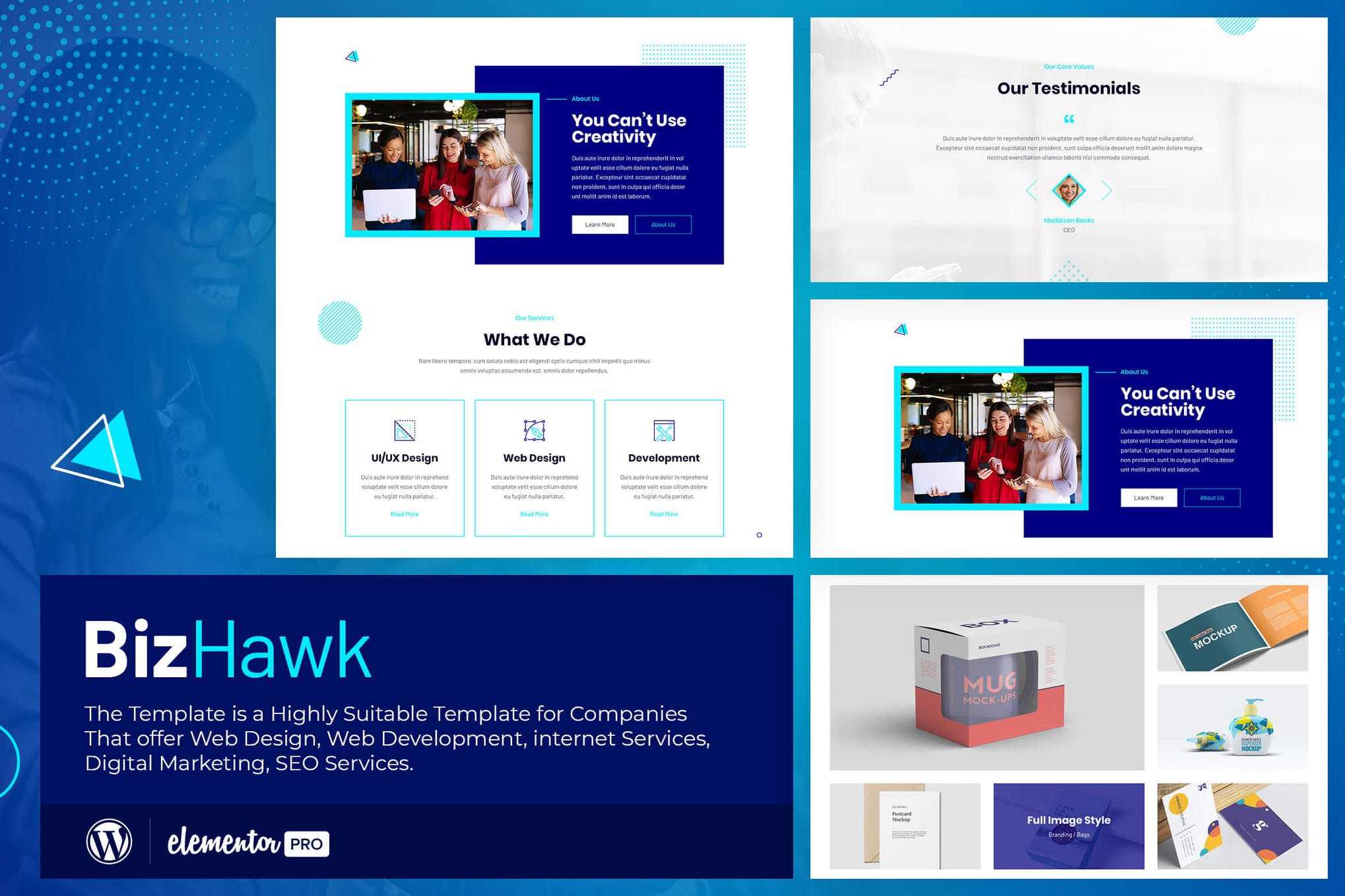 Bizhawk Corporate Agency