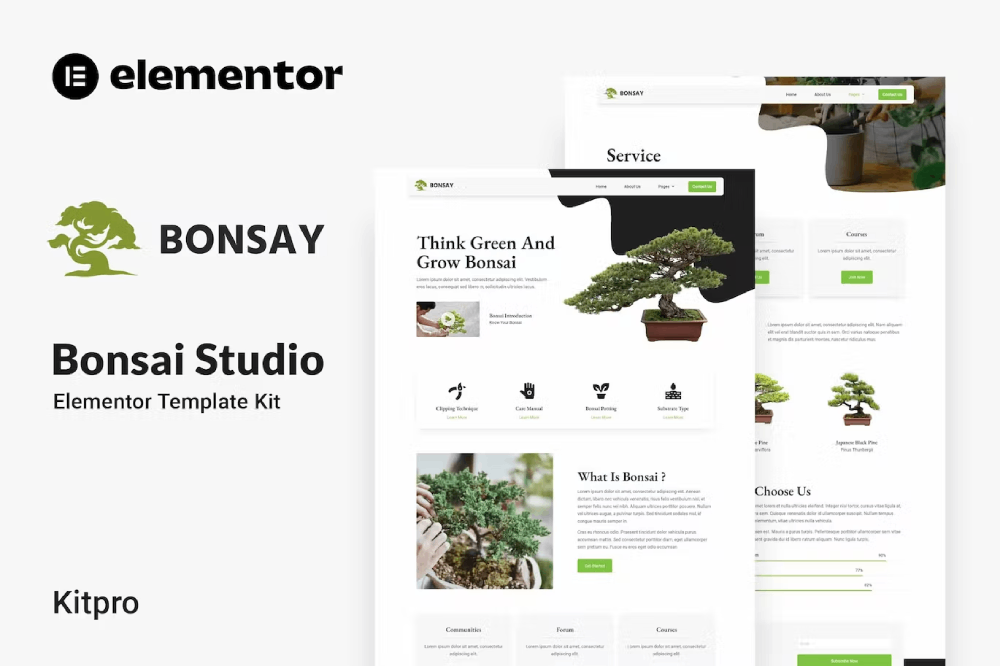 Bonsay Bonsai Studio