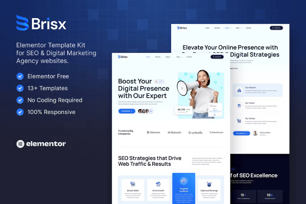 Brisx Seo Digital Marketing Agency