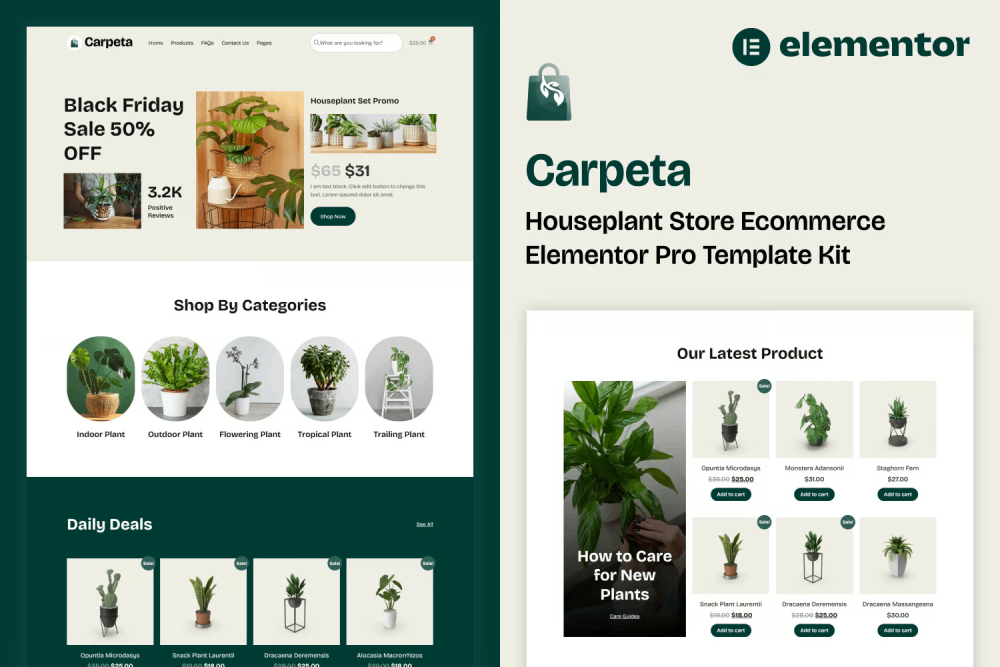 Carpeta Houseplant Store Ecommerce