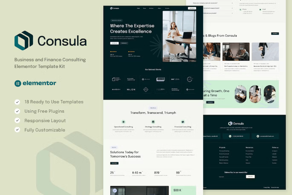 Consula Business And Finance Consulting