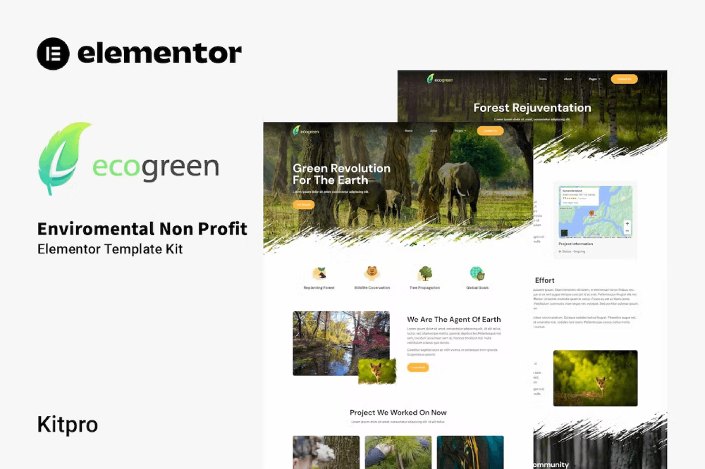 Ecogreen Environmental Non Profit