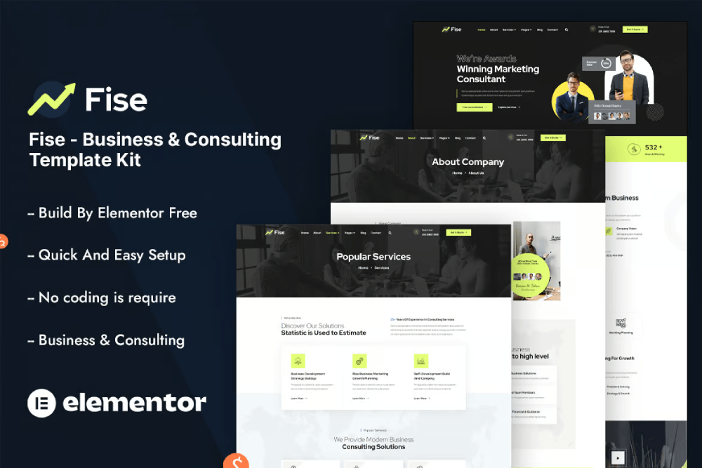 Fise Business Consulting
