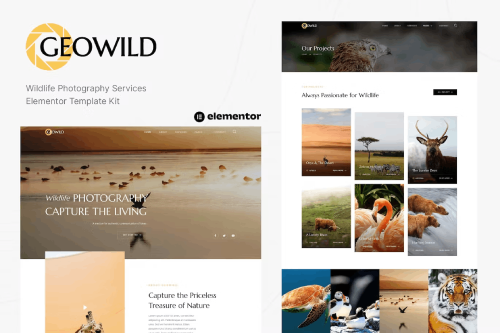 Geowild Wildlife Photography Services