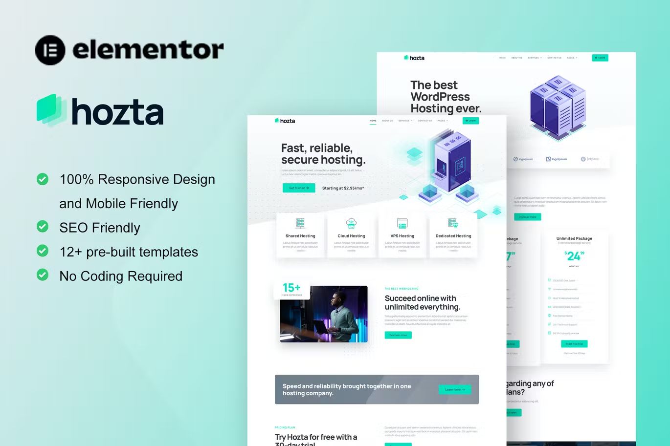 Hozta Web Hosting Service