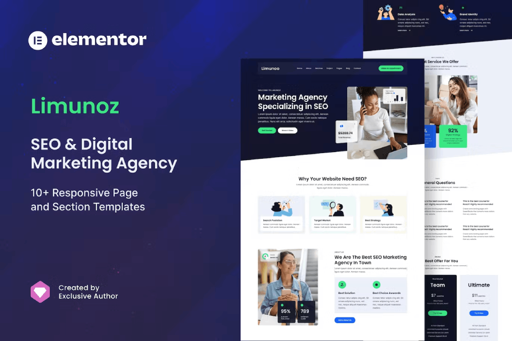 Limunoz Digital Marketing Seo Agency