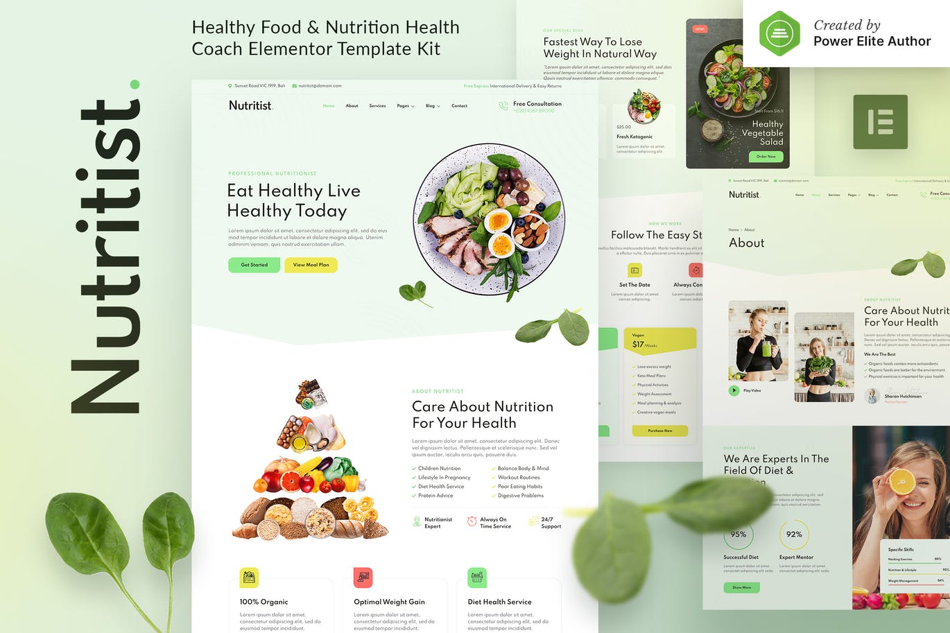 Nutritist Healthy Food Nutrition Coach