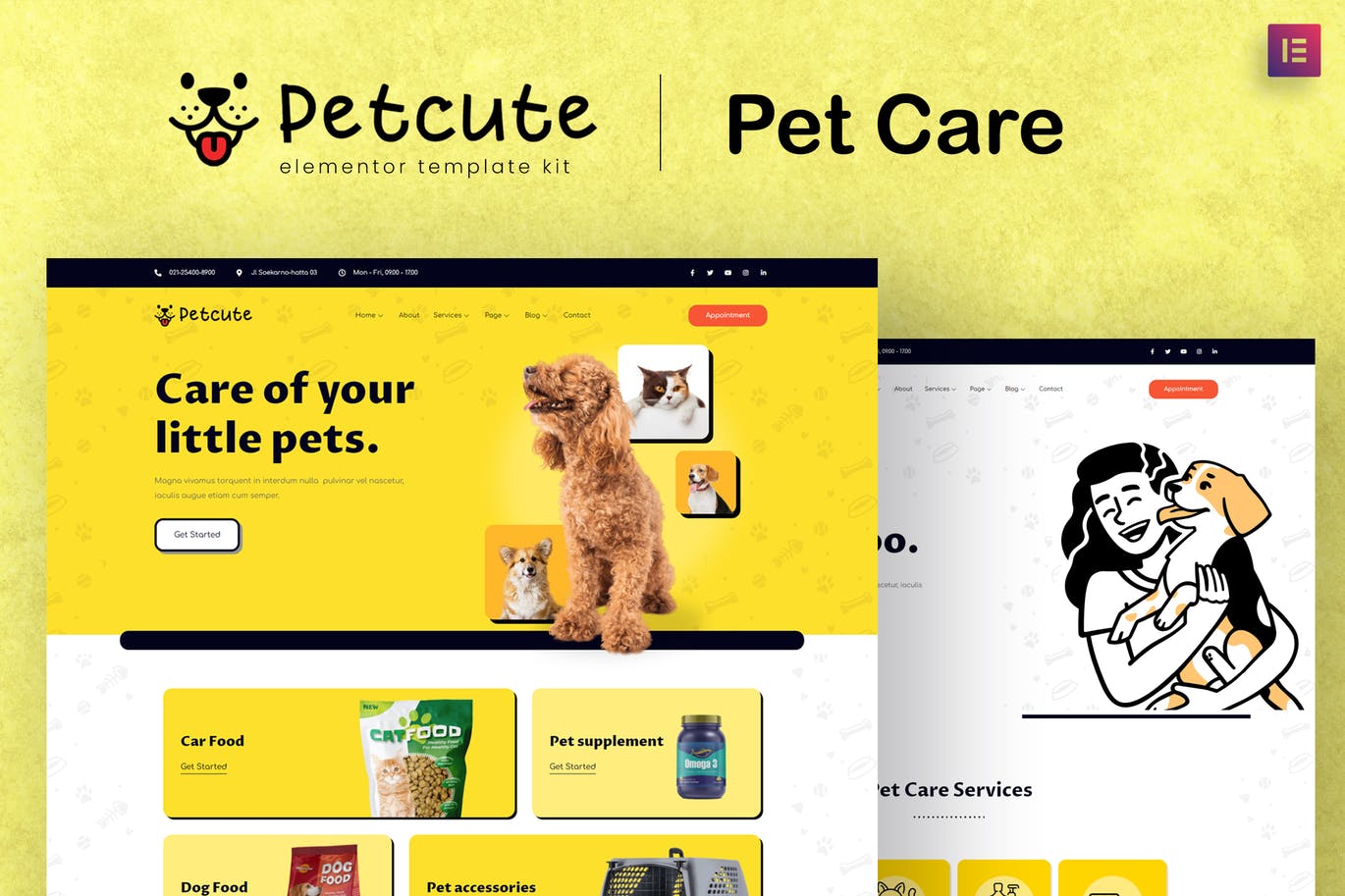 Pet Cute Pet Care Veterinary