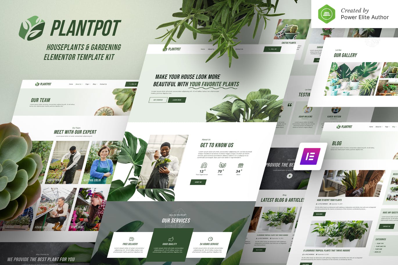 Plantpot Houseplants Gardening