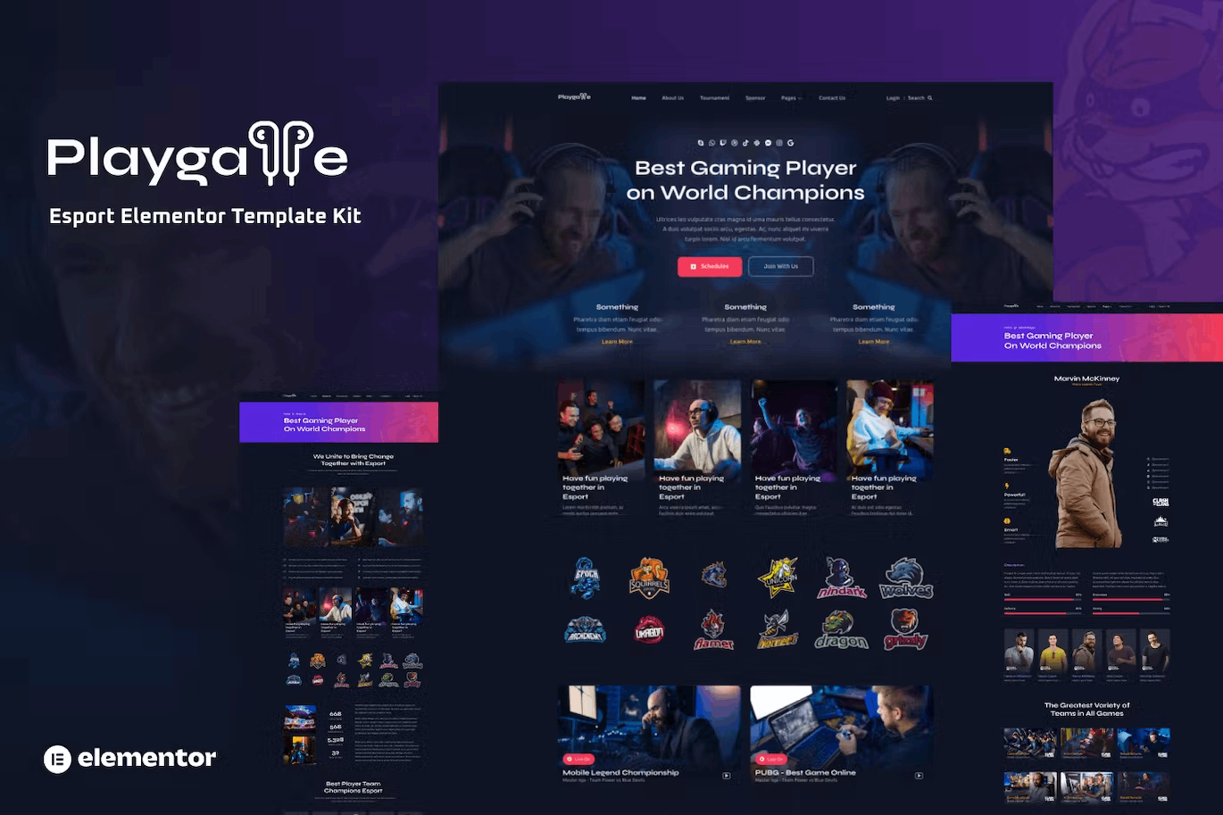 Playgame Esports
