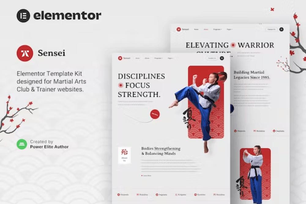 Sensei Martial Arts Club Trainer