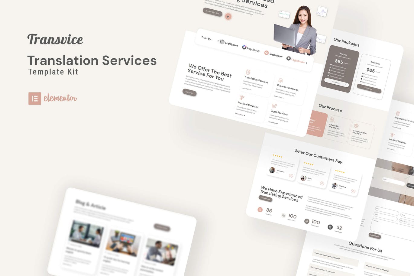 Transvice Translation Website