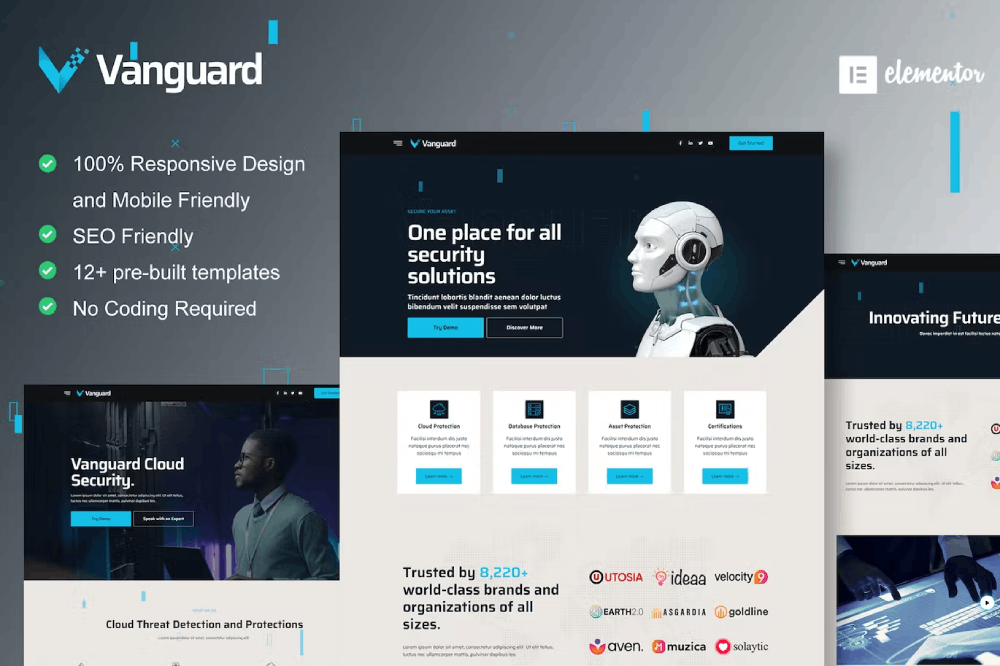 Vanguard Cyber Security Service