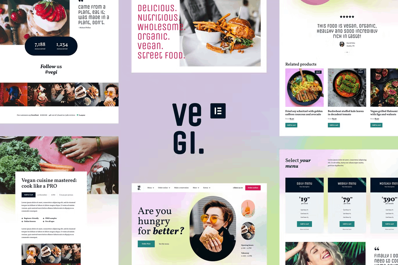 Vegi Vegan Street Food Restaurant Takeaway Kit