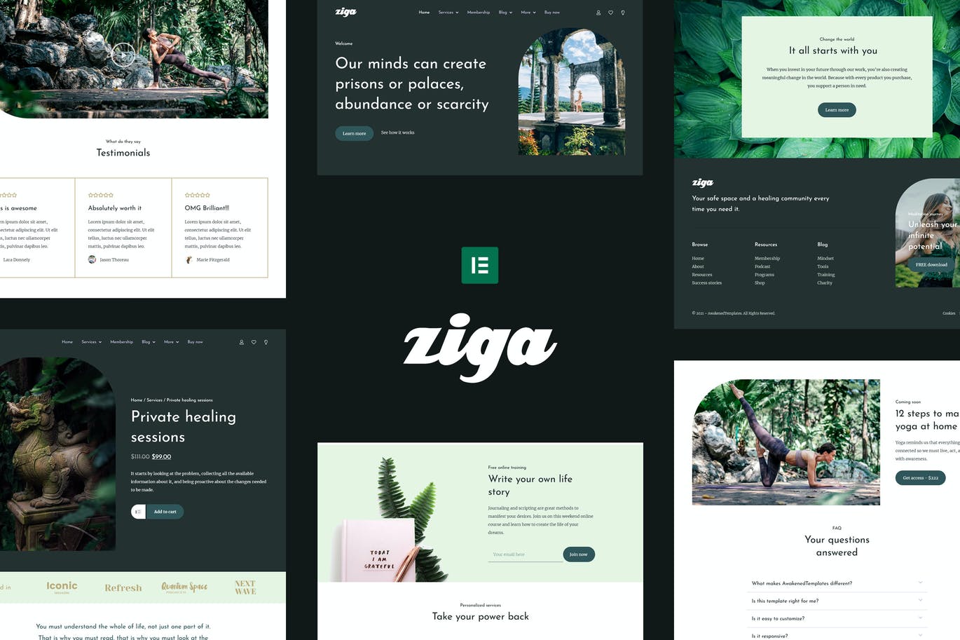 Ziga Healer Life Coach